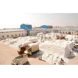 Manufacturers Exporters and Wholesale Suppliers of Bangal Desi Indore Madhya Pradesh